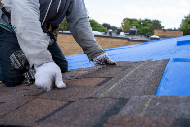 Best New Roof Installation  in Del Norte, CO